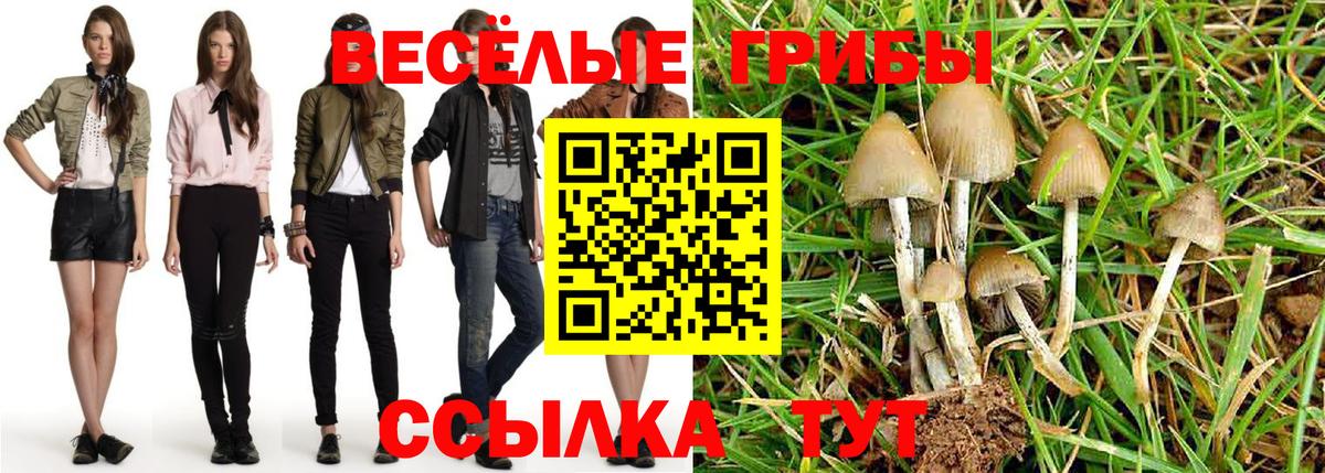 Галлюциногенные грибы ЛСД  Галлюциногенные грибы прущие грибы  где купить наркоту  Вход с VPN  Белорецк 